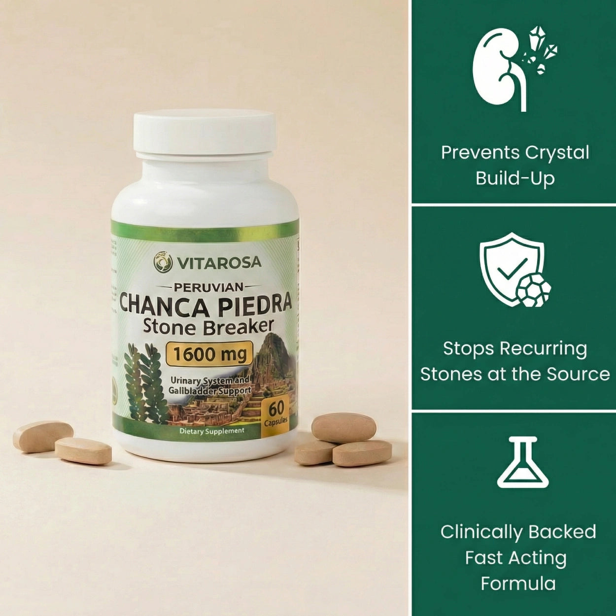 Chanca Piedra Capsules (1,600mg)